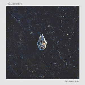 给我搜索一个欧美黑鬼的黑人操逼免费片
